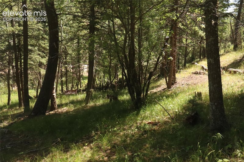 286 Coffee Rd, Manitou Springs, CO 80829
