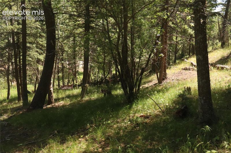 286 Coffee Rd, Manitou Springs, CO 80829