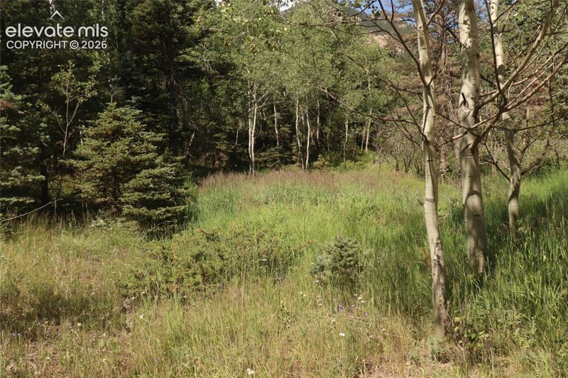 286 Coffee Rd, Manitou Springs, CO 80829