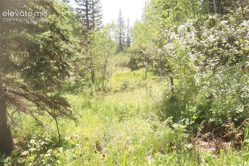 286 Coffee Rd, Manitou Springs, CO 80829