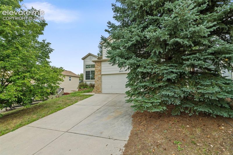 2875 Leoti Dr, Colorado Springs, CO 80922