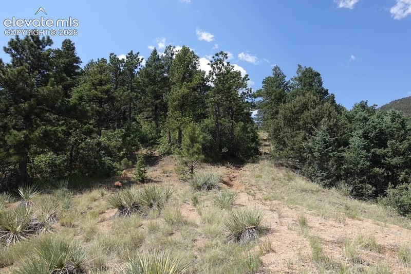 292 Sugarloaf Rd, Manitou Springs, CO 80829
