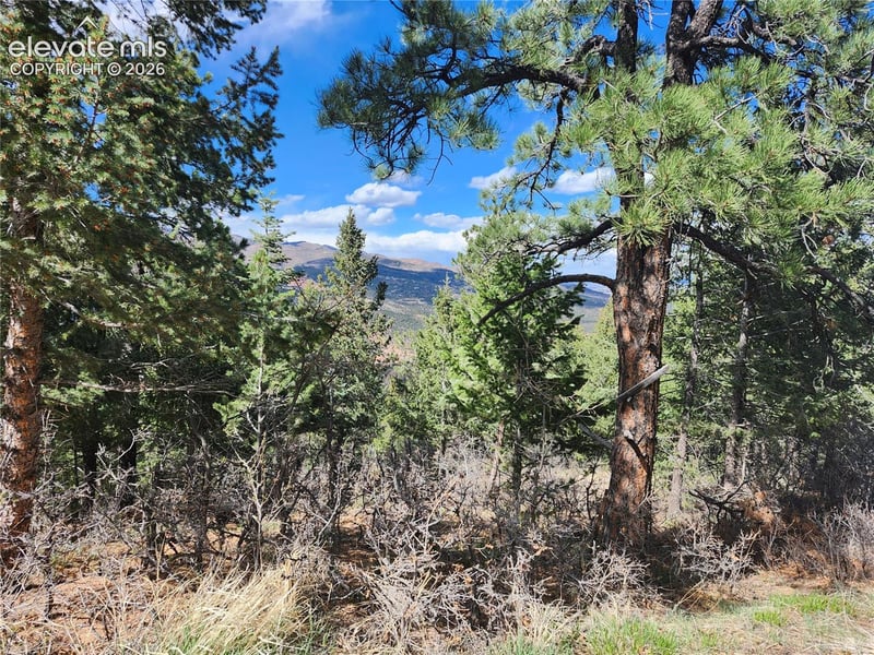 292 Sugarloaf Rd, Manitou Springs, CO 80829