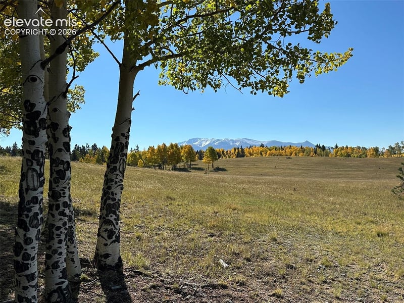 2940 North Rd, Divide, CO 80814