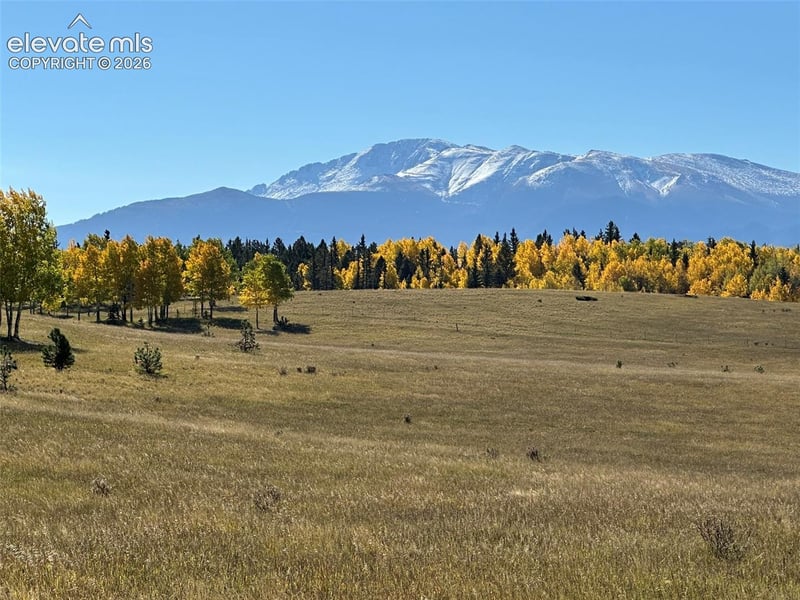 2940 North Rd, Divide, CO 80814