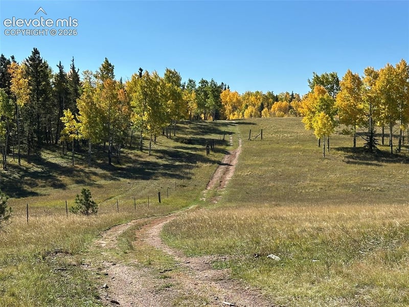 2940 North Rd, Divide, CO 80814