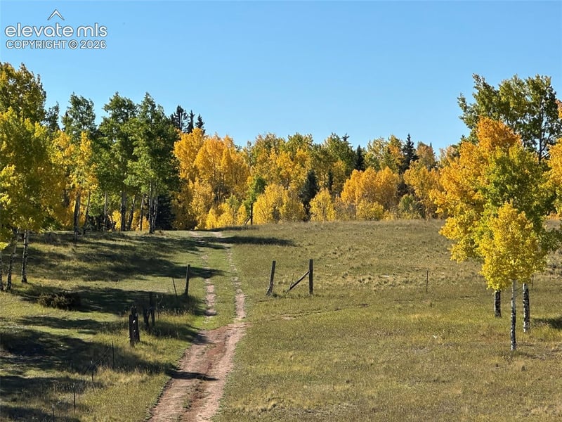2940 North Rd, Divide, CO 80814