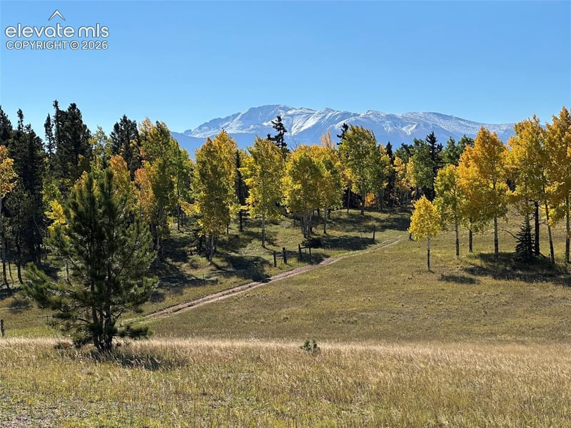 2940 North Rd, Divide, CO 80814