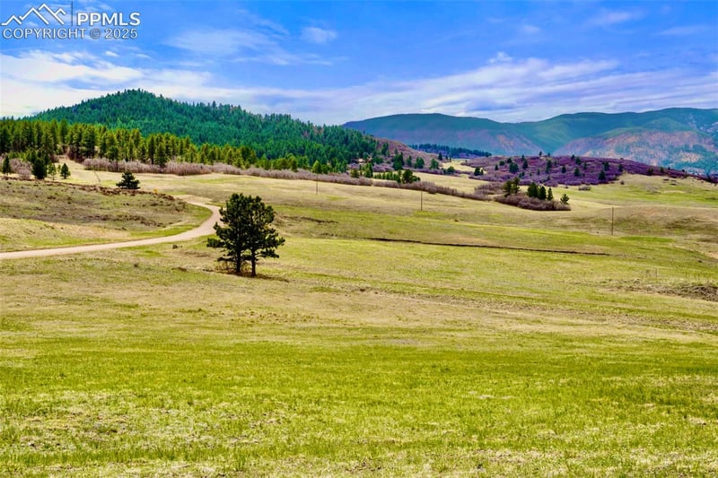 3 S Perry Park Rd, Larkspur, CO 80118