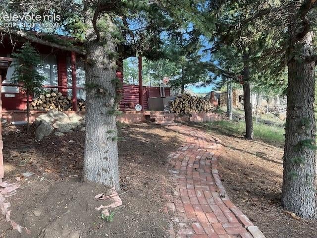 30 Brook Dr, Lake George, CO 80827