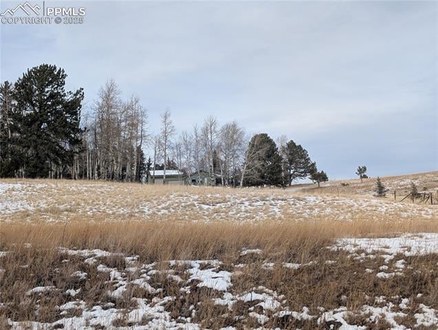 307 Pinaceae Hts, Divide, CO 80814