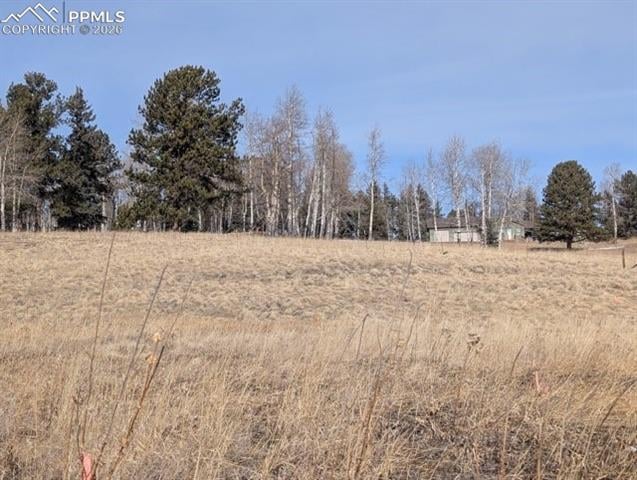 307 Pinaceae Hts, Divide, CO 80814