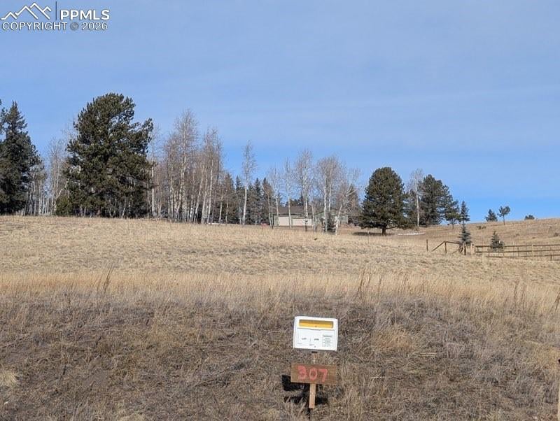 307 Pinaceae Hts, Divide, CO 80814