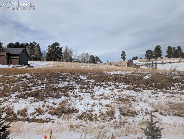 307 Pinaceae Hts, Divide, CO 80814