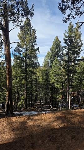 307 Tillicum Trl, Woodland Park, CO 80863