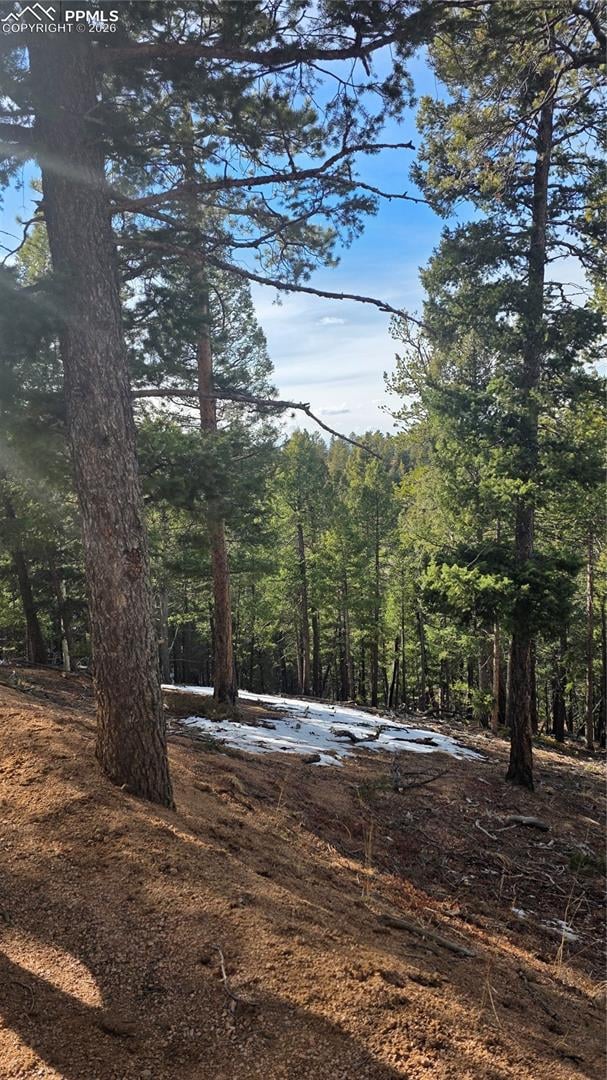 307 Tillicum Trl, Woodland Park, CO 80863