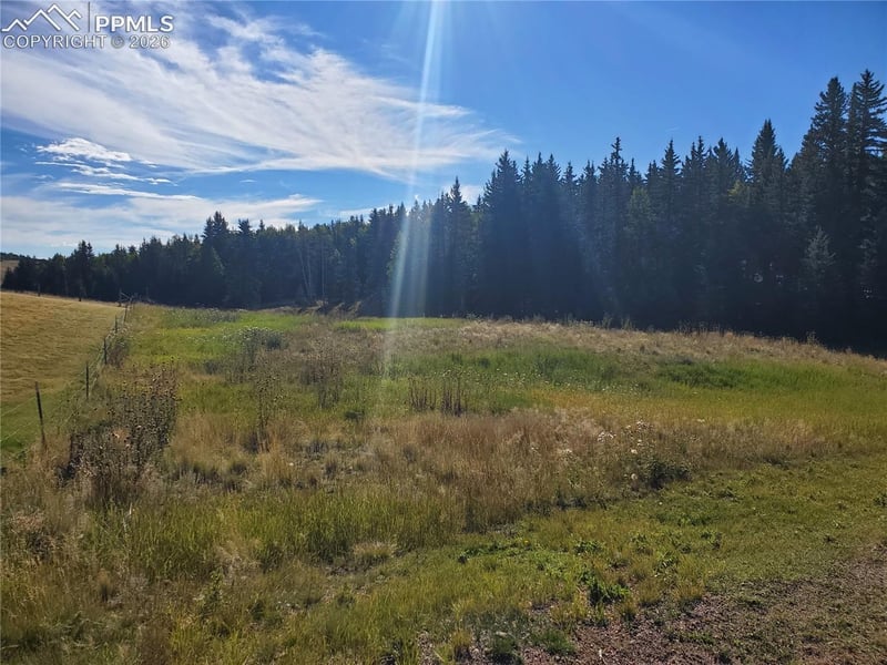 309 Pinaceae Hts, Divide, CO 80814