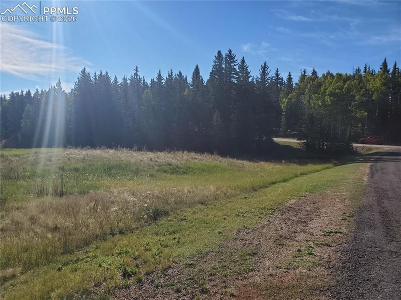 309 Pinaceae Hts, Divide, CO 80814