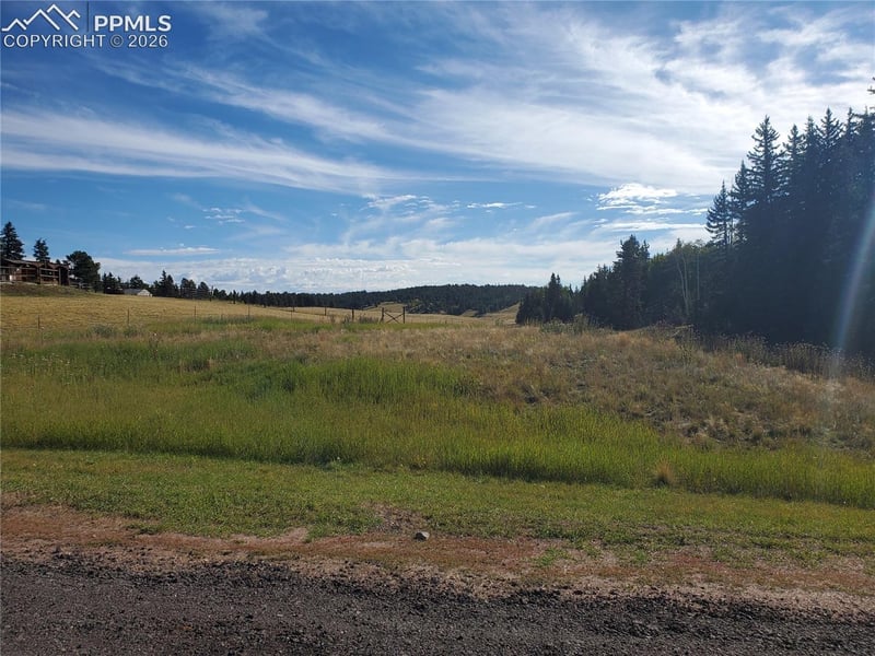 309 Pinaceae Hts, Divide, CO 80814