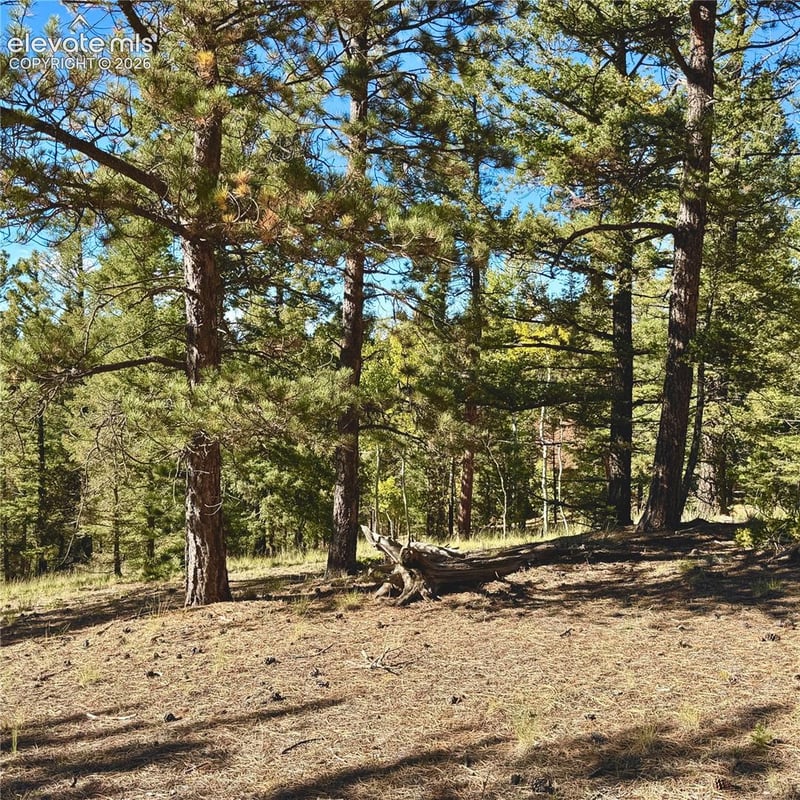 31 Pike View Cir, Divide, CO 80814
