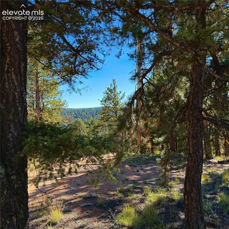31 Pike View Cir, Divide, CO 80814