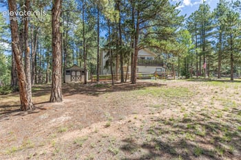 3115 Regent Dr, Woodland Park, CO 80863