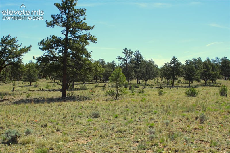 31572 Highway 9, Fairplay, CO 80449