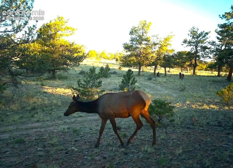 31572 Highway 9, Fairplay, CO 80449