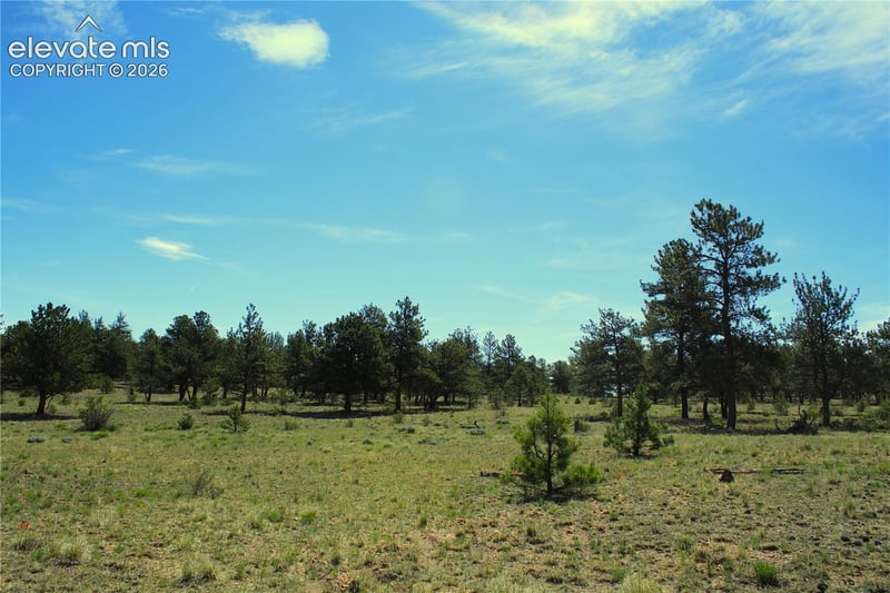 31572 Highway 9, Fairplay, CO 80449