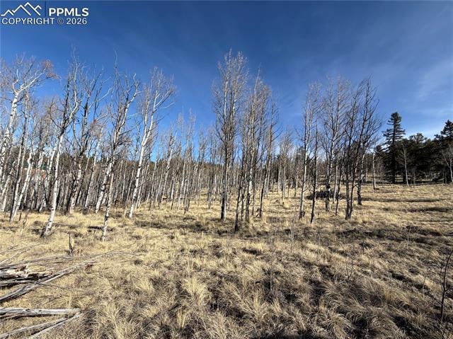 32 Sugar Loaf Ln, Jefferson, CO 80456