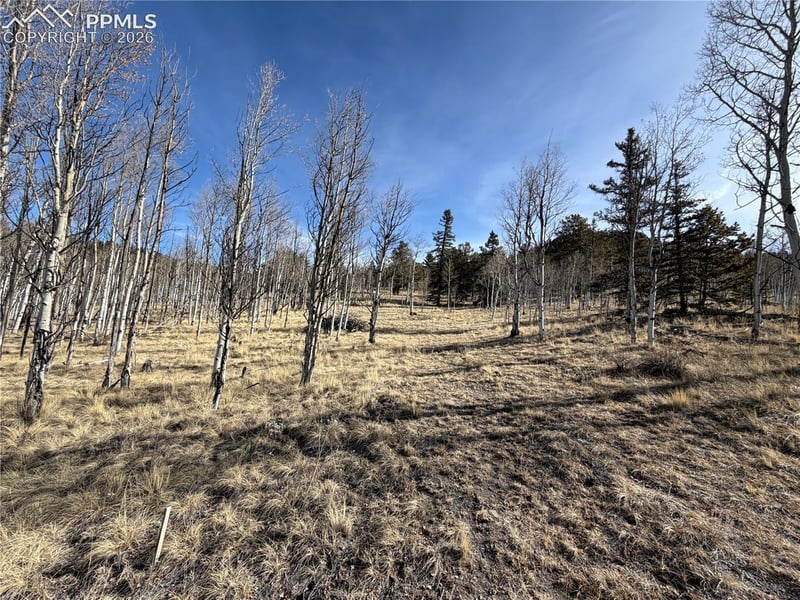 32 Sugar Loaf Ln, Jefferson, CO 80456