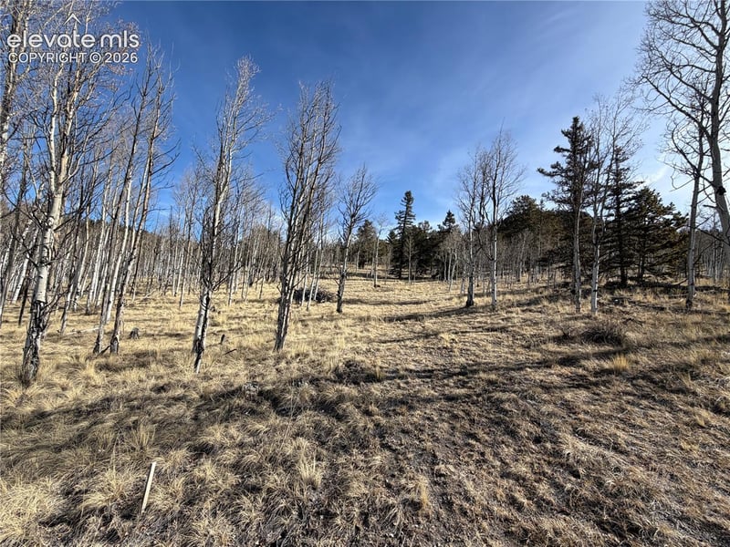 32 Sugar Loaf Ln, Jefferson, CO 80456