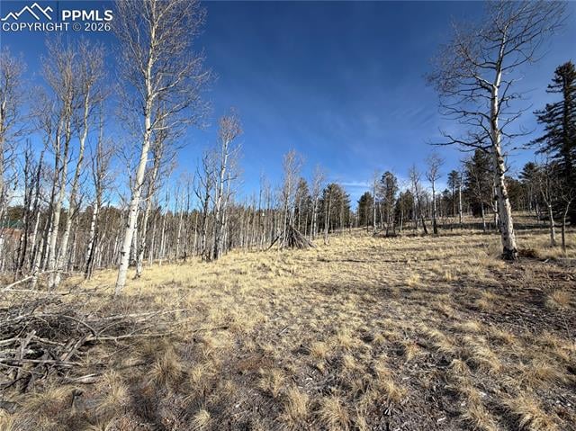 32 Sugar Loaf Ln, Jefferson, CO 80456