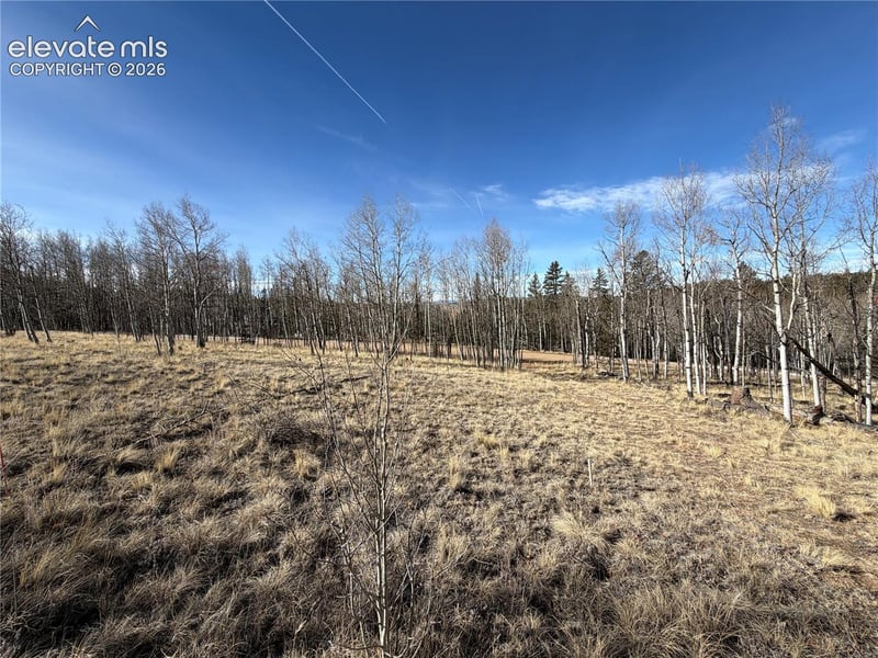 32 Sugar Loaf Ln, Jefferson, CO 80456
