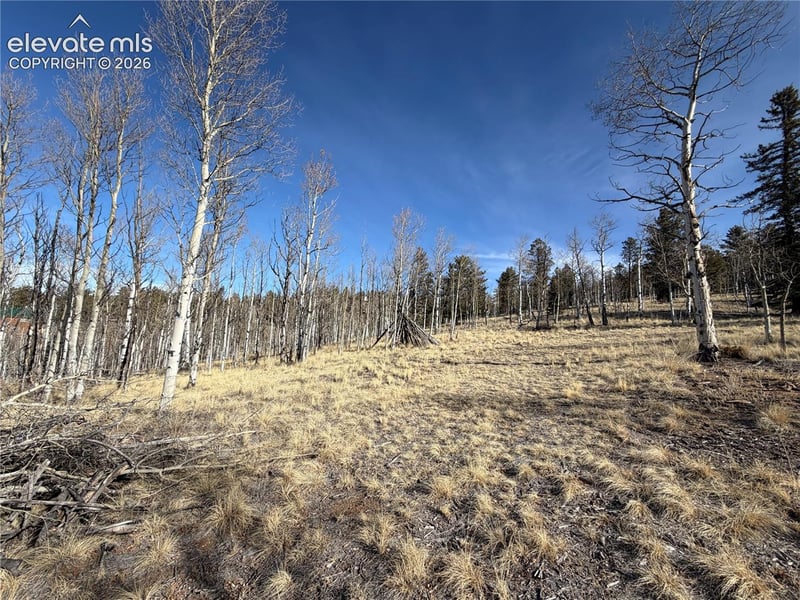 32 Sugar Loaf Ln, Jefferson, CO 80456