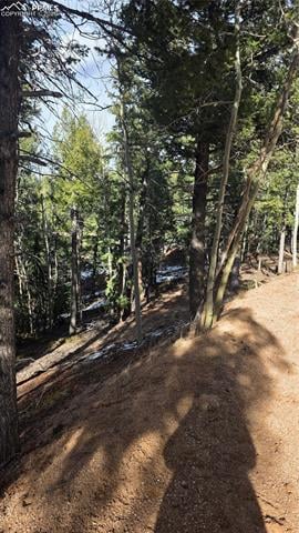 321 Tillicum Trl, Woodland Park, CO 80863