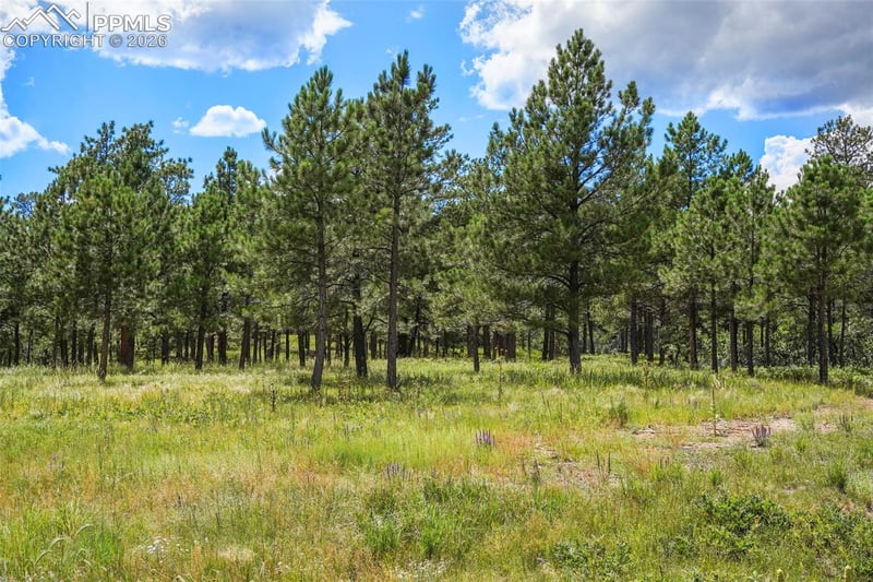 325 Pine Oaks Rd, Colorado Springs, CO 80926