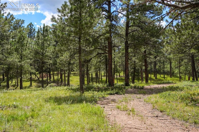 325 Pine Oaks Rd, Colorado Springs, CO 80926