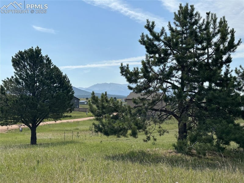 333 Golden Grain Ln, Divide, CO 80814