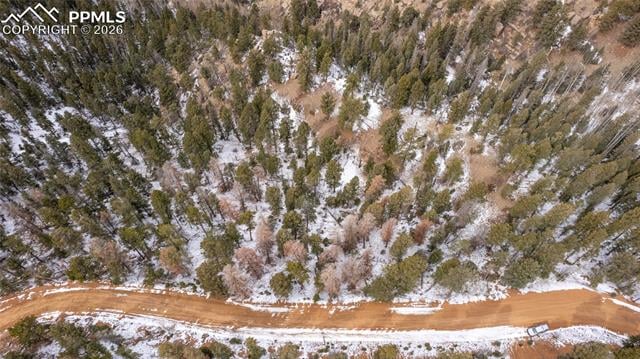 3388-3410 N Mountain Estates Rd, Florissant, CO 80816