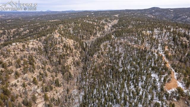 3388-3410 N Mountain Estates Rd, Florissant, CO 80816