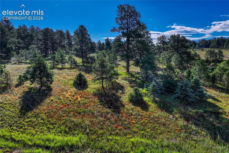 3429 Blue Heron Spring Ln, Colorado Springs, CO 80908