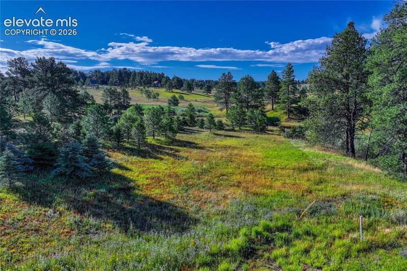 3429 Blue Heron Spring Ln, Colorado Springs, CO 80908
