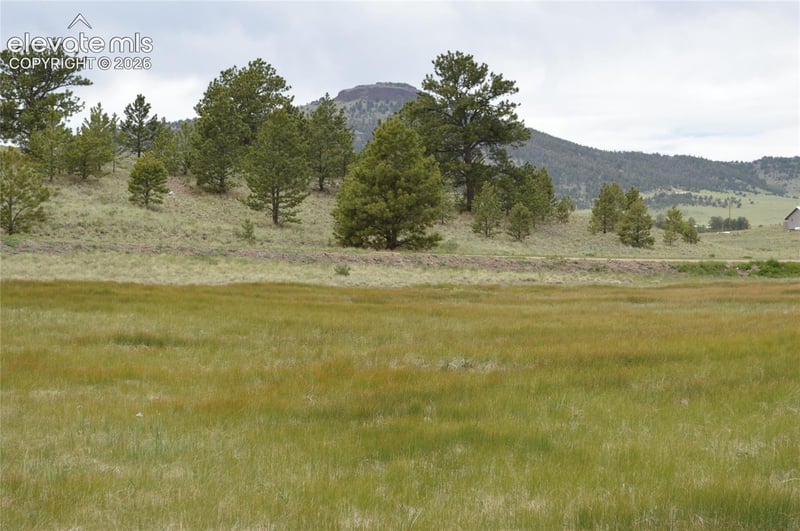 344 Valley Rd, Guffey, CO 80820