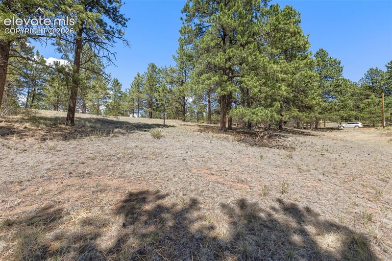 349 Rhyolite Ln, Florissant, CO 80816