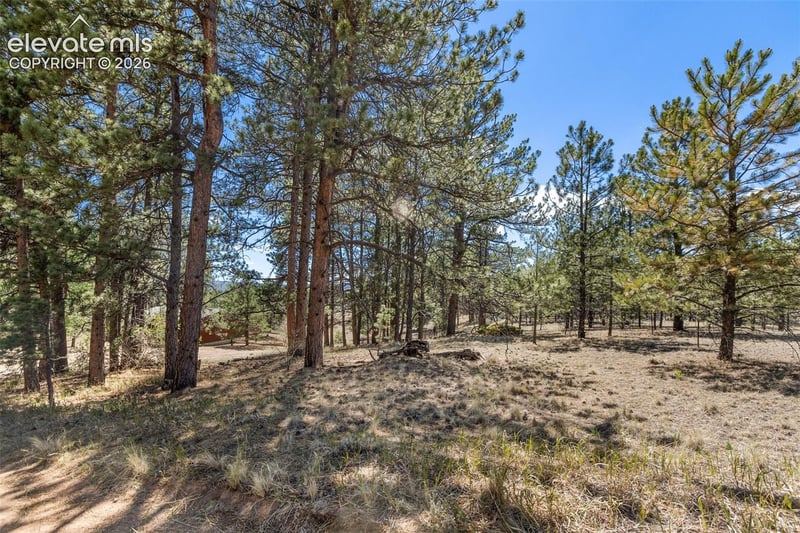 349 Rhyolite Ln, Florissant, CO 80816