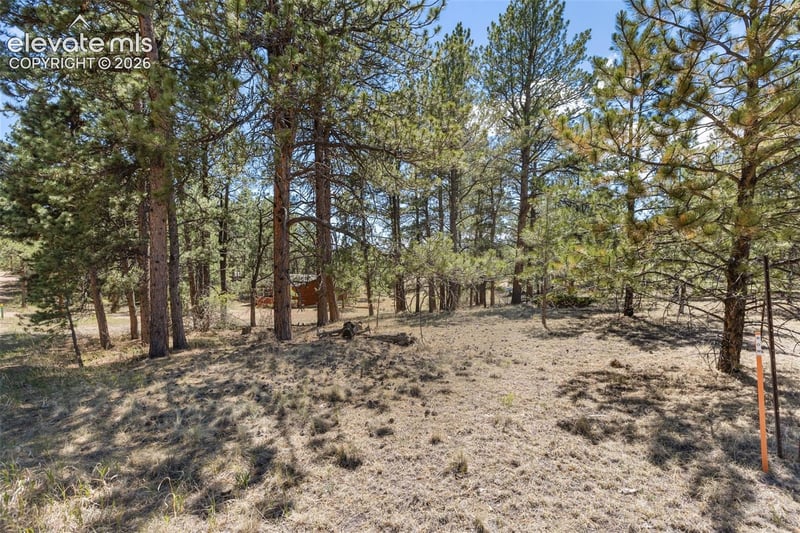 349 Rhyolite Ln, Florissant, CO 80816