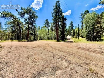 35 Meadow Creek Rd, Divide, CO 80814