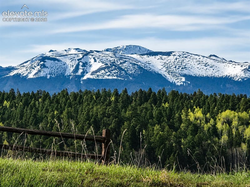 355 Maroon Lake Cir, Divide, CO 80814