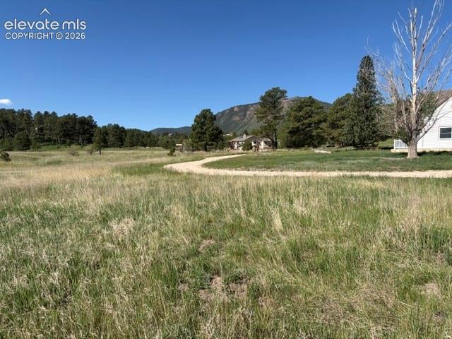 3615 Summertime Ct, Monument, CO 80132